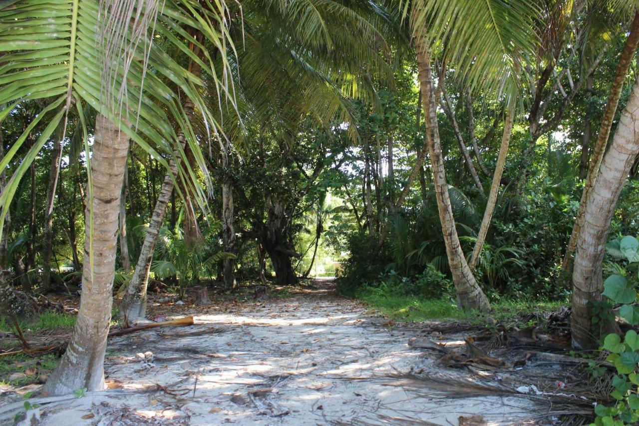 Chez Antoine Apartments Grand' Anse Buitenkant foto